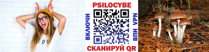 Купить закладки  Краснокамск  Псилоцибиновые грибы GOLDEN TEACHER 